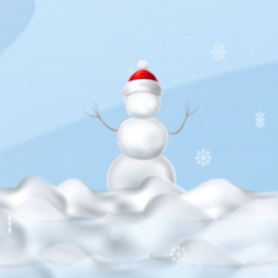 Protect From Snow Balls