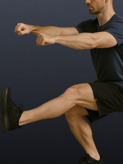 Solo Leg Titan Press